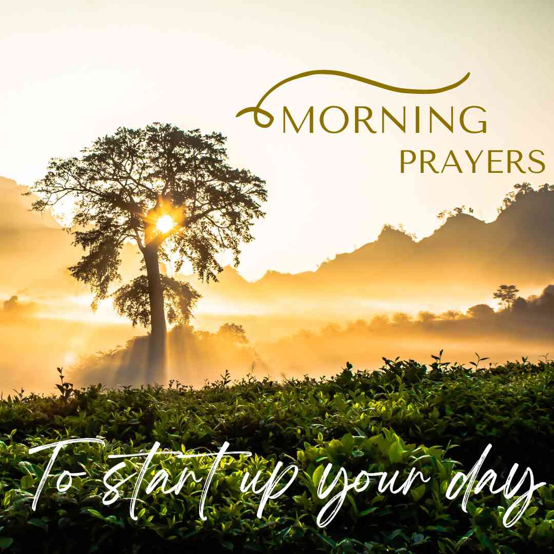 Amazing Morning Prayers to Start up Your Day With a Cheerful Heart