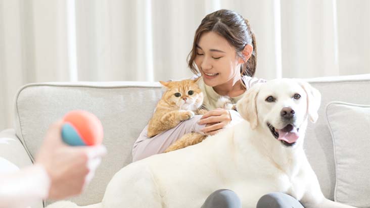 Pet Insurance Hong Kong